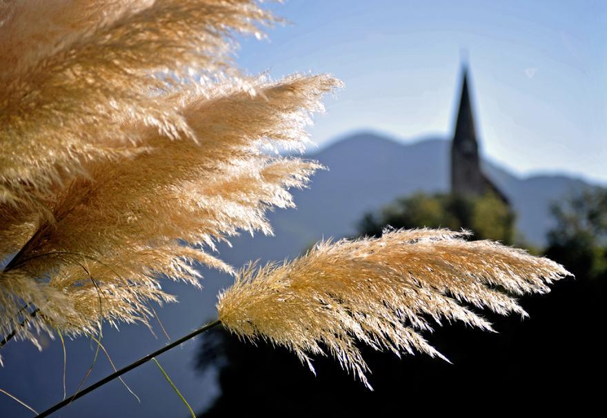 Tollhof Villa Bolzano Eksteriør billede